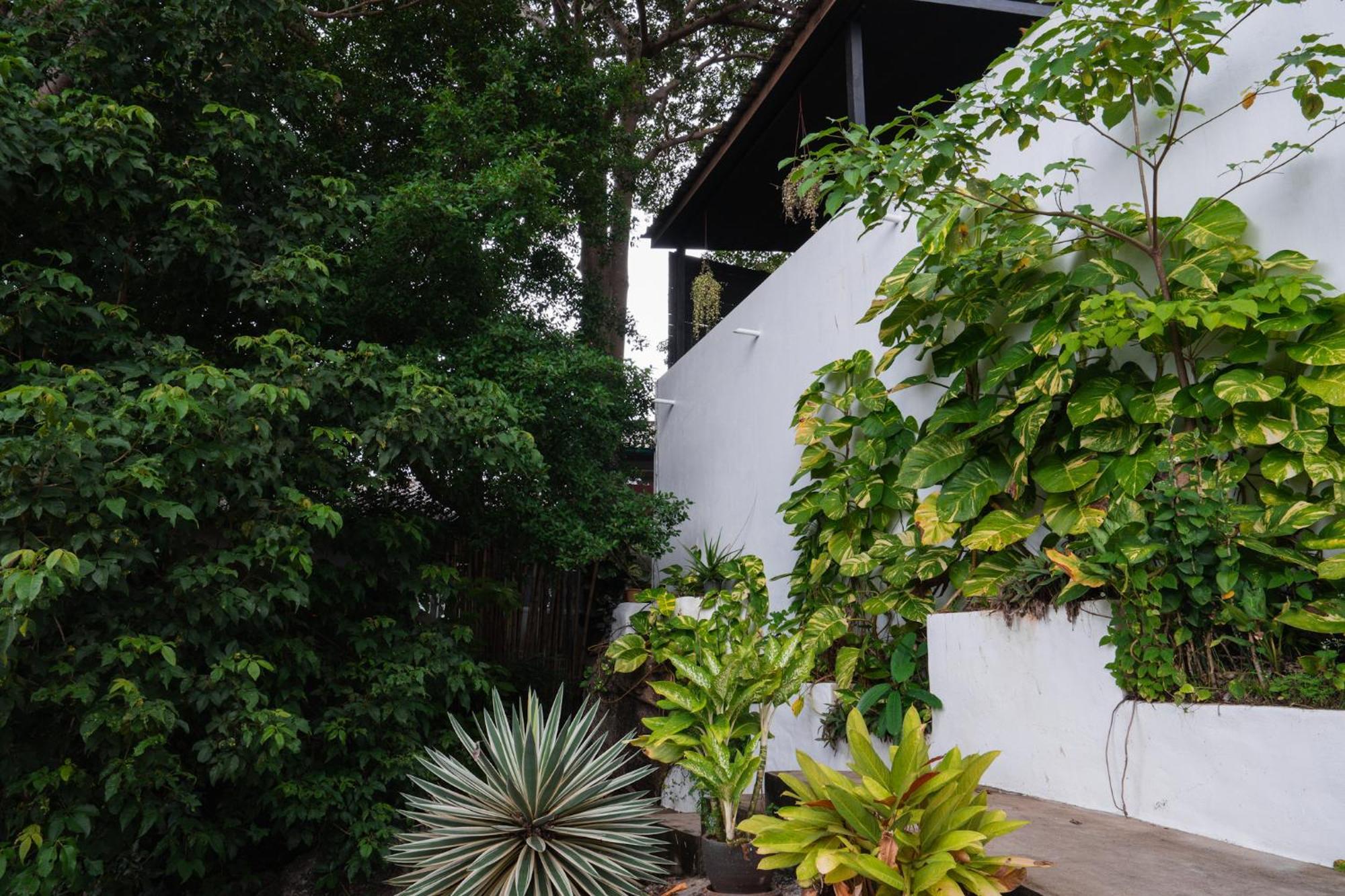 Lunar Villas Koh Tao - Luxury Private Pool Villas Εξωτερικό φωτογραφία